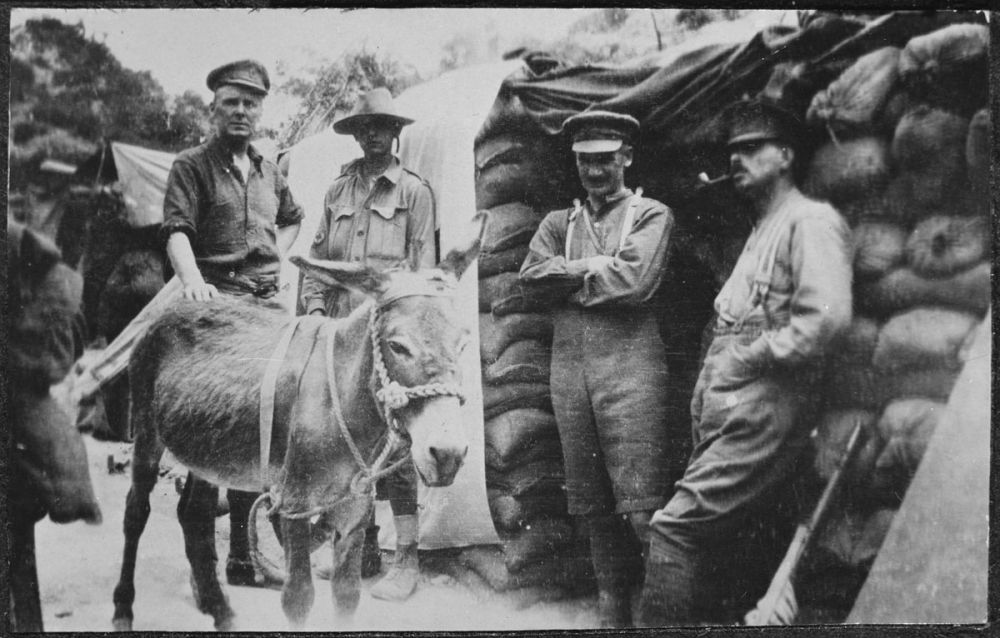 Group with Private John Simpson Kirkpatrick (second from left) and his donkey "Murphy". 